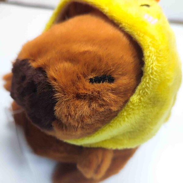 capibara peluche