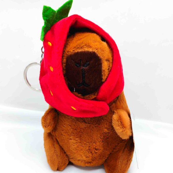 regalos capibara cuenca
